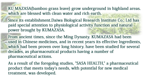 KU MAZASA(bamboo grass leave) grow underground in highland areas. which are blessed with clean water and rich earth.