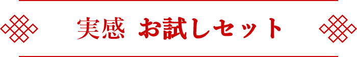 実感 お試しセット