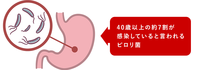 40歳以上の約7割が感染していると言われるピロリ菌