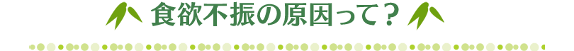 食欲不振の原因って？