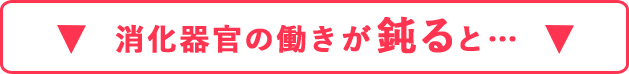 消化器官の働きが鈍ると…