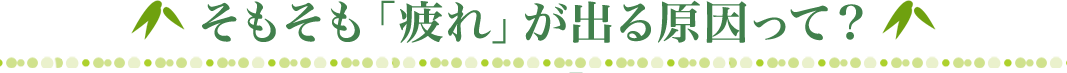 そもそも「疲れ」が出る原因って？