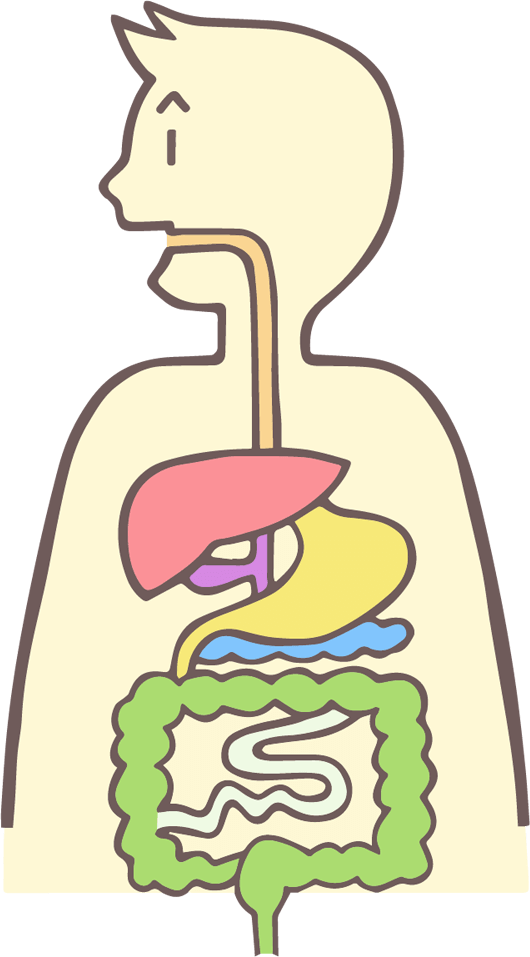 株式会社 大和生物研究所 ニオイq A 便臭 株式会社 大和生物研究所 ニオイq A 便臭